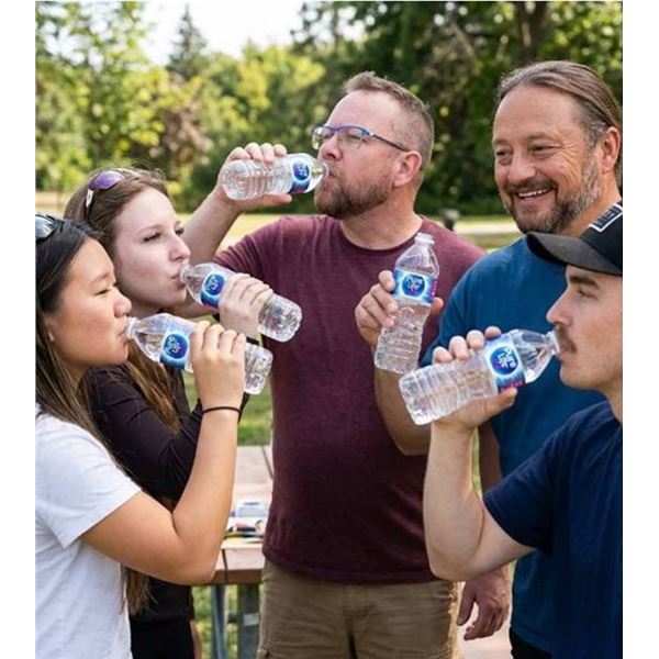Pure Life Water 12-Pack, 1.5L Bottles