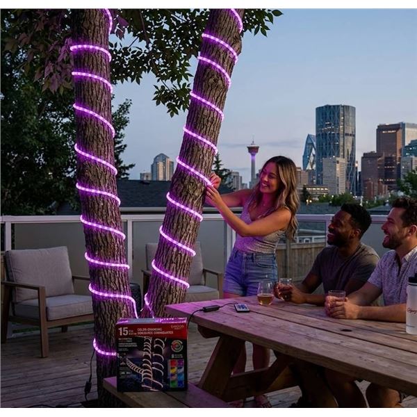 Danson Decor 15 ft Color-Changing LED Rope