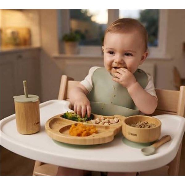 Bamboo Baby Feeding Set with Bib and Case