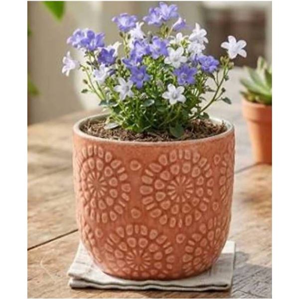 Stone & Beam Floral Embossed Planter Small