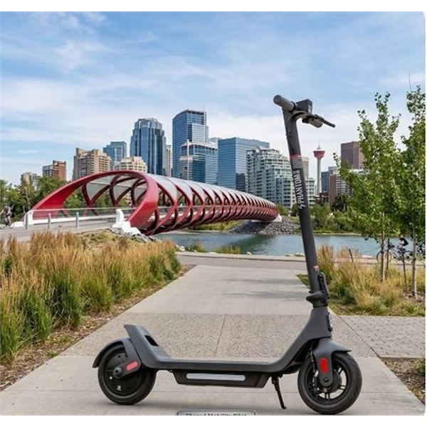 Phantom A10 Electric Scooter, 400W Motor