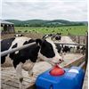 Image 1 : Canarm EF40C Poly Waterer, Case