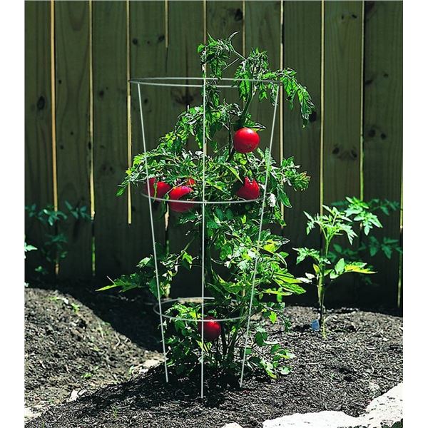 Bulk Lot of 33" Galvanized Tomato Cages