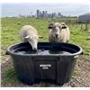 Image 1 : Rubbermaid BRUTE 150 Gallon Stock Tank