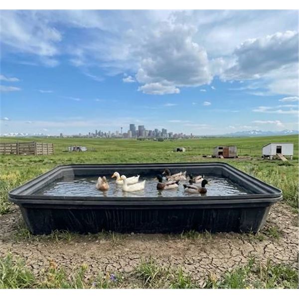 124x90x18 in Plastic Tray