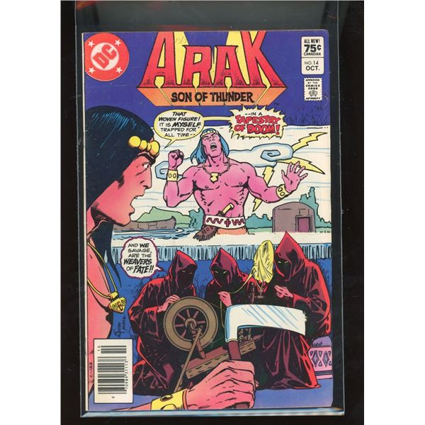 Arak Son of Thunder #14 DC Comics (1982) - Tapestry of Doom