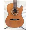 Image 2 : SEGOVIA SINGLE CUTAWAY ACOUSTIC