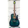 Image 1 : GREEN DEGAS ACOUSTIC GUITAR