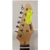 Image 3 : PEAVEY RAPTOR PLUS ELECTRIC GUITAR