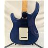 Image 4 : PEAVEY RAPTOR PLUS ELECTRIC GUITAR