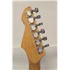 Image 5 : PEAVEY RAPTOR PLUS ELECTRIC GUITAR