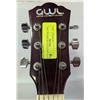 Image 3 : GWL WASHBURN ACOUSTIC GUITAR