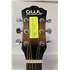 Image 3 : GWL WASHBURN ACOUSTIC GUITAR