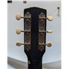 Image 5 : 1960S STELLA ACOUSTIC GUITAR W CASE