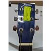 Image 3 : BLUE JOHNSON ACOUSTIC GUITAR