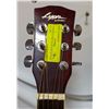 Image 3 : LYON ELECTRIC ACOUSTIC GUITAR W CASE