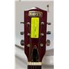 Image 3 : VINTAGE RAVEN ACOUSTIC GUITAR W CASE