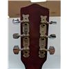Image 5 : VINTAGE RAVEN ACOUSTIC GUITAR W CASE
