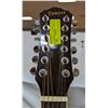 Image 3 : DENVER 12 STRING ACOUSTIC GUITAR W CASE