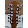 Image 6 : DENVER 12 STRING ACOUSTIC GUITAR W CASE