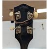 Image 6 : VINTAGE BANJO WITH CASE