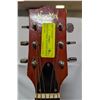 Image 3 : VINTAGE NORMA ACOUSTIC W PICK UP & CASE