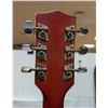 Image 5 : VINTAGE NORMA ACOUSTIC W PICK UP & CASE