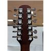 Image 6 : HAWTHORN 12 STRING ACOUSTIC GUITAR W CASE
