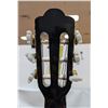 Image 6 : BENSON ALPHA ACOUSTIC CUTAWAY GUITAR+CASE