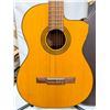 Image 2 : TAKAMINE ELECTRIC ACOUSTIC GUITAR W CASE