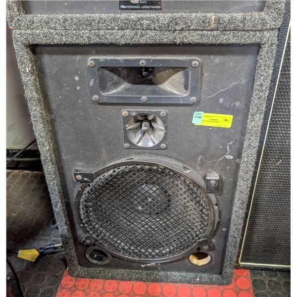 LARGE STAGE SPEAKER