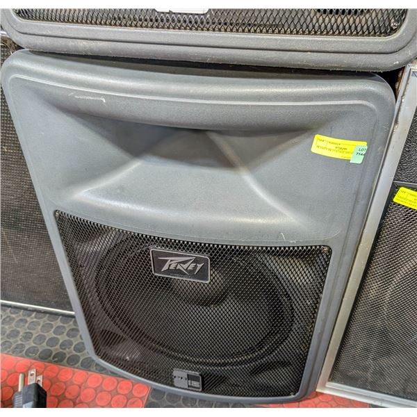 PEAVEY PR 15 STAGE SPEAKER