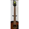 Image 3 : VANTAGE ACOUSTIC GUITAR