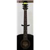 Image 3 : VINTAGE GIBSON EPIPHONE PR ACOUSTIC