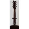 Image 6 : VINTAGE  FENDER F25 ACOUSTIC GUITAR