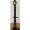 Image 3 : VINTAGE HOHNER ACOUSTIC GUITAR