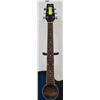 Image 3 : BLUE TRADITION ACOUSTIC GUITAR