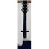 Image 6 : BLUE TRADITION ACOUSTIC GUITAR