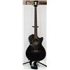 Image 1 : FENDER LONG NECK ACOUSTIC BASS GUITAR