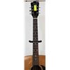 Image 5 : VINTAGE REGENT ACOUSTIC GUITAR