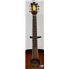 Image 3 : WASHBURN ACOUSTIC GUITAR