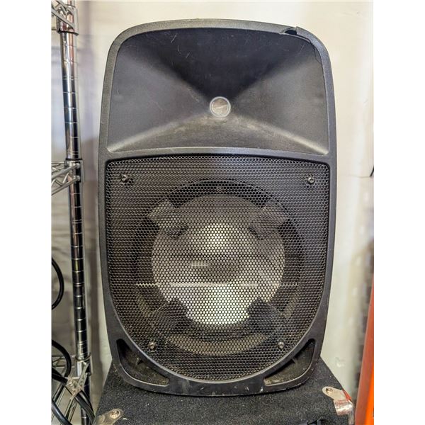 ION STAGE SPEAKER