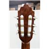 Image 6 : SAMICK GREG BENNETT CLASSICAL GUITAR