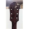 Image 6 : VINTAGE CANORA ACOUSTIC GUITAR PROJECT