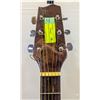 Image 3 : FENDER GEMINI ACOUSTIC GUITAR