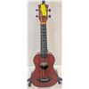 Image 1 : AKLOT HAWAII UKULELE W CASE