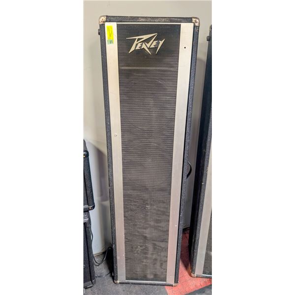 1970S PEAVEY STAGE BAND SPEAKER