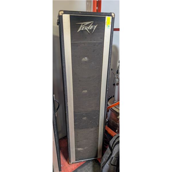 1970S PEAVEY STAGE BAND SPEAKER