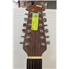 Image 3 : CELEBRITY ELECTRIC ACOUSTIC 12 STRING GUITAR