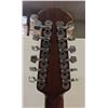 Image 6 : CELEBRITY ELECTRIC ACOUSTIC 12 STRING GUITAR